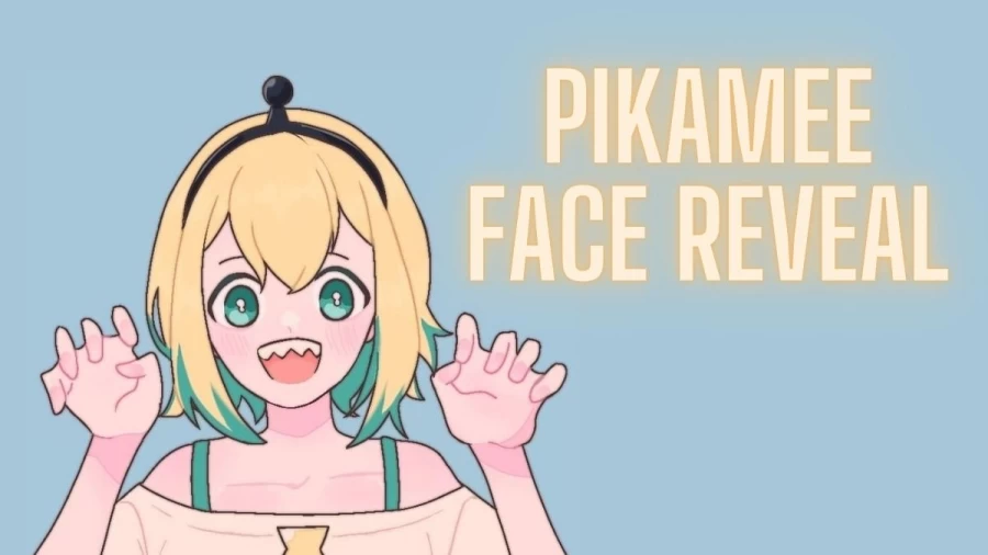 Pikamee Face Reveal, Has Pikamee Revealed Her Face? Check Here Age, Youtuber Wiki, and More