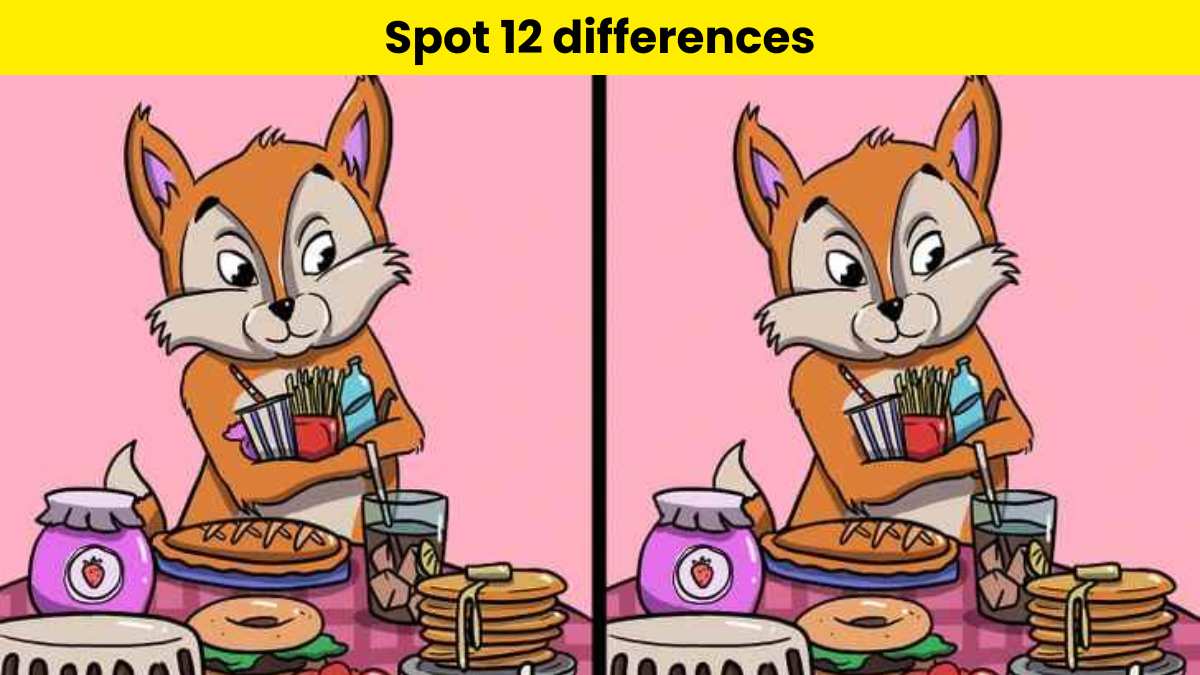 Can you spot 12 differences?