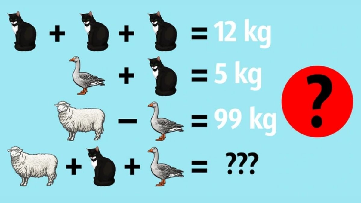 Can You Find the Weight of Sheep, Cat and Duck in 15 secs?