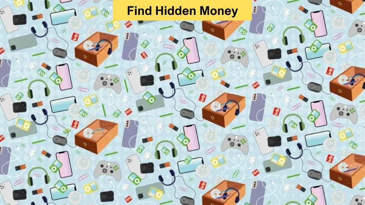 Find Hidden Money Stash in 9 Seconds