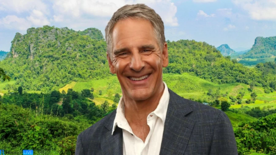 Scott Bakula Net Worth in 2023 How Rich is He Now?