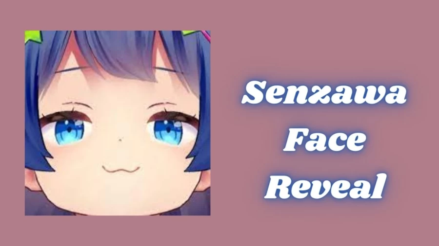 Senzawa Face Reveal, Know Senzawa Age, Height, Weight, Net Worth And More