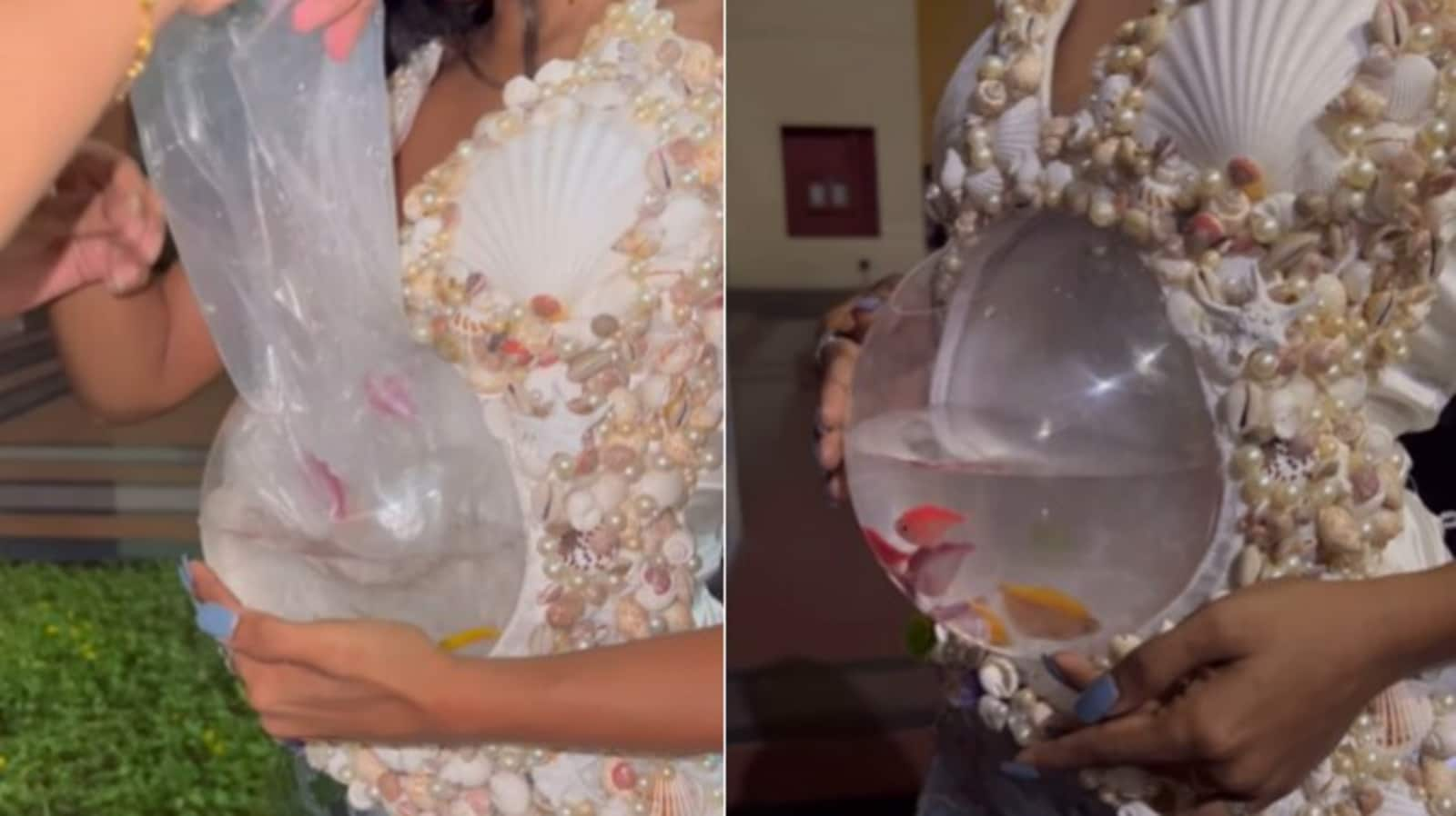 'Shameful and disgusting': Woman wearing live fish in a dress slammed by netizens