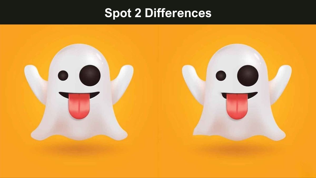 Spot 2 Differences