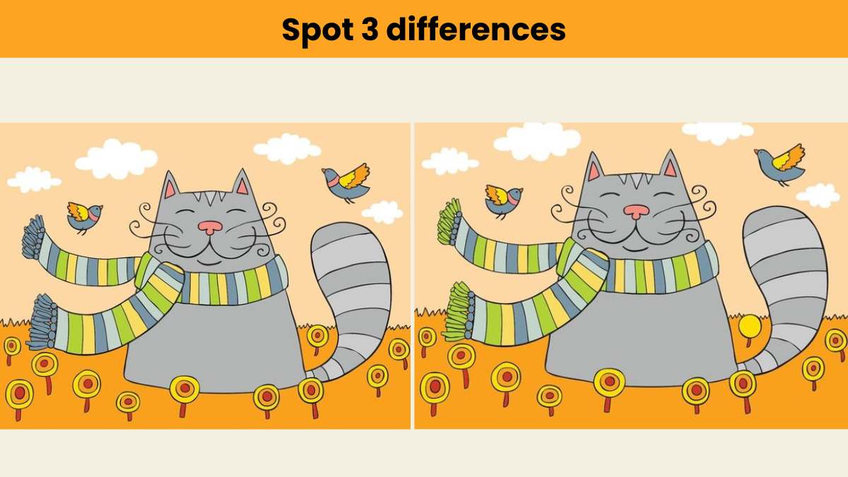 Can you spot 3 differences in the picture?