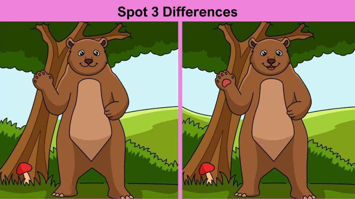 Spot 3 Differences in 10 Seconds