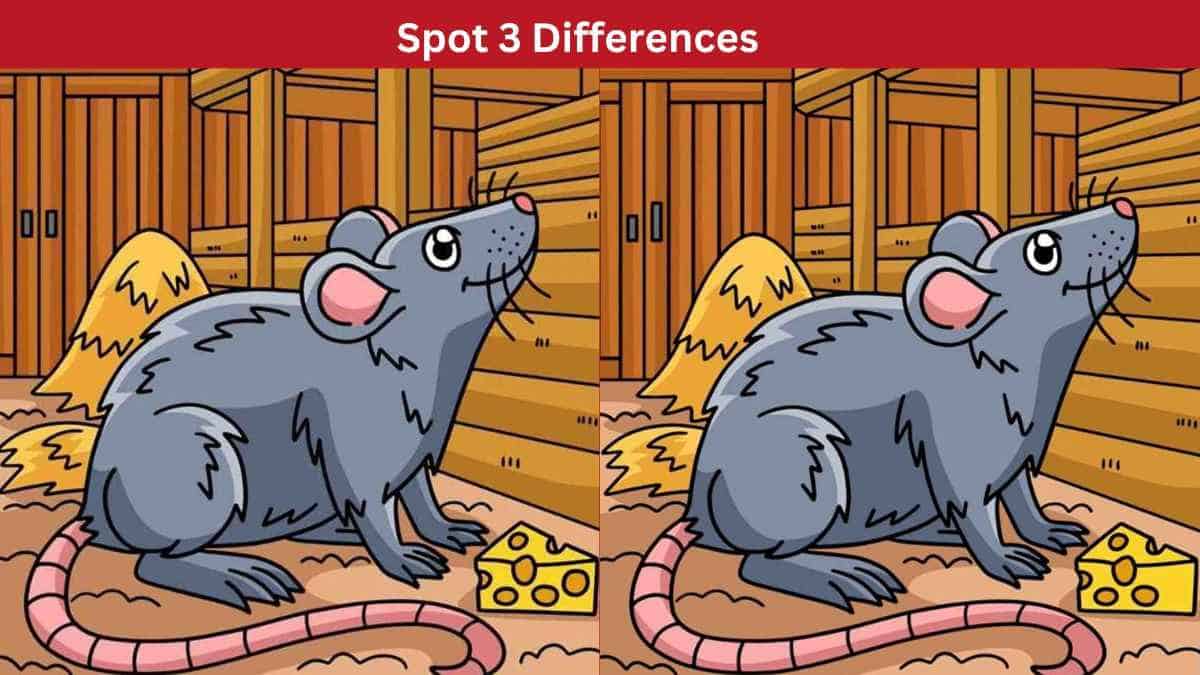 Spot 3 Differences in 12 Seconds