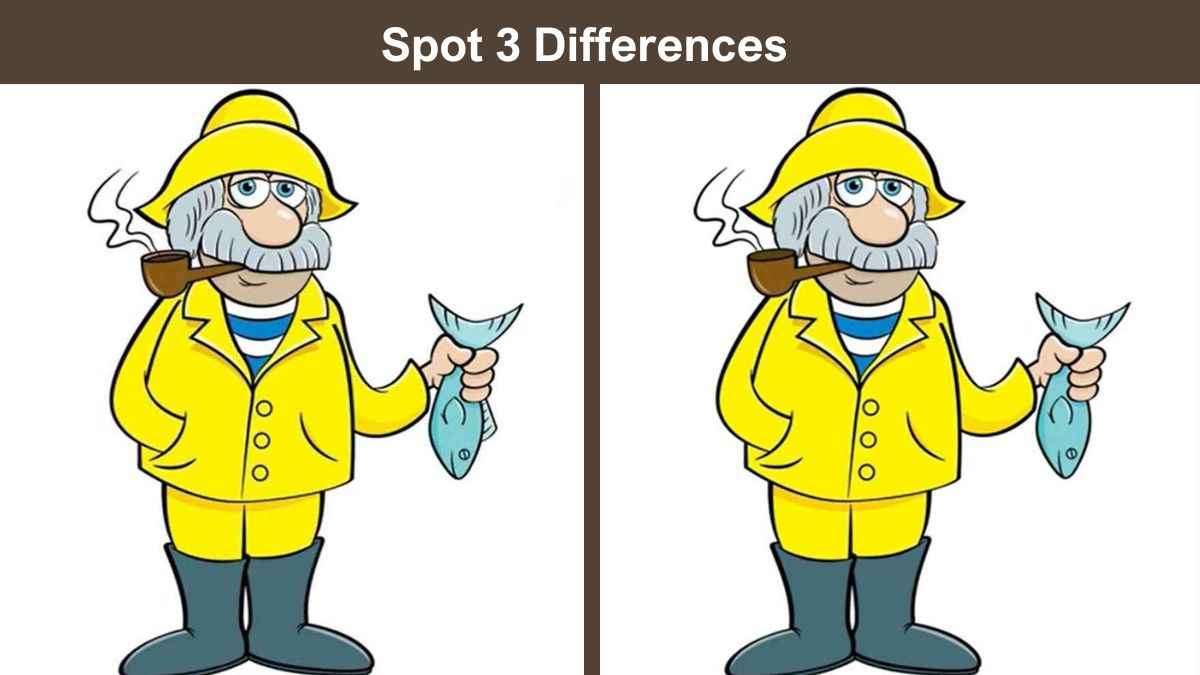 Spot 3 Differences in 15 Seconds