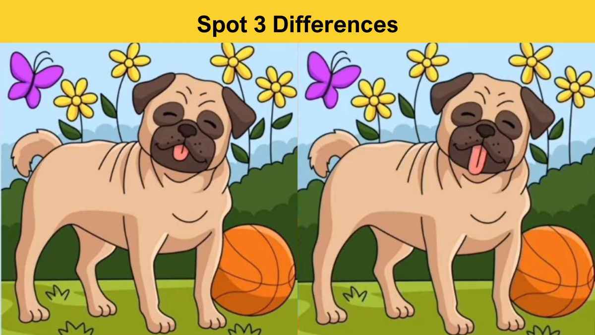 Spot 3 Differences in 7 Seconds