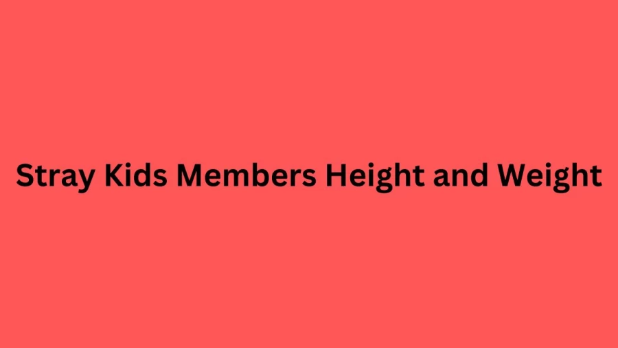 Stray Kids Members Height and Weight: Check Out How Tall are Stray Kids Members