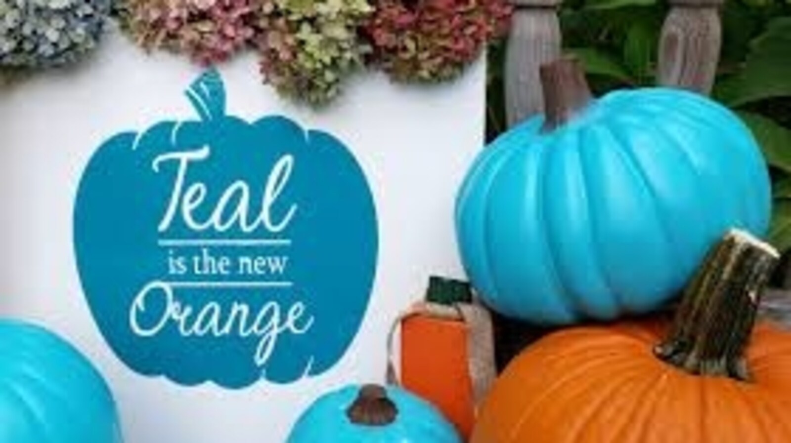 Teal Pumpkins have a deeper meaning this Halloween, check out what it is