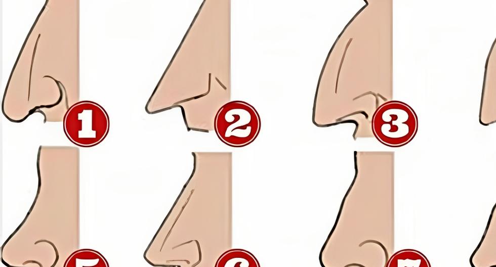 Tell us what shape of nose you have and find out what secret of your personality you keep