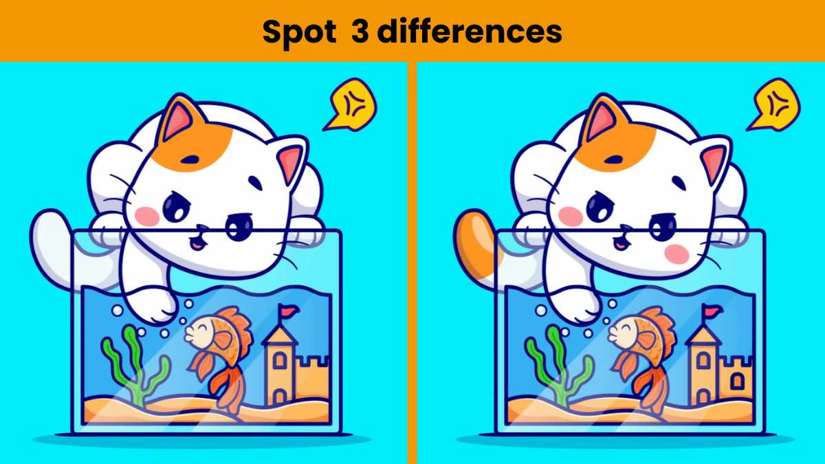 Can you spot 3 differences in this picture?