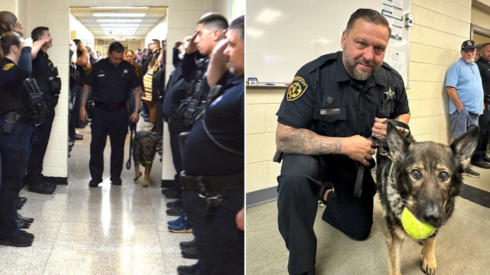 US deputies salute 11-year-old German shepherd with cancer as she retires from duty