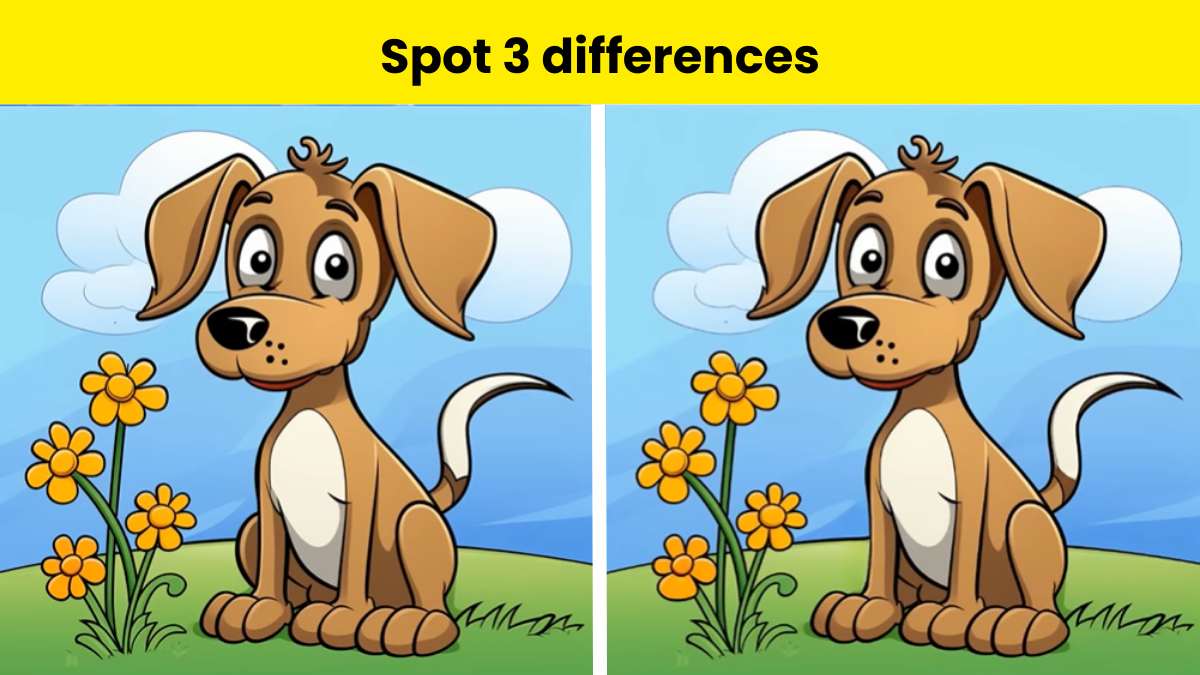 Can you spot 3 differences?