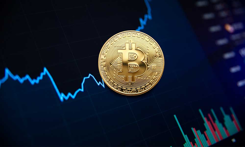 What Factor Characterizes the Market Value of One Bitcoin?