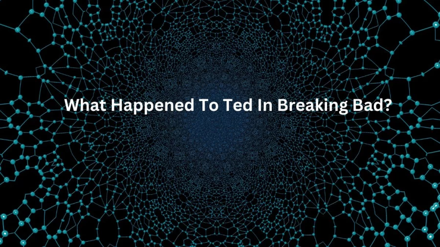 What Happened To Ted In Breaking Bad? Who Is Ted In Breaking Bad? How Did Ted Get Hurt In Breaking Bad?