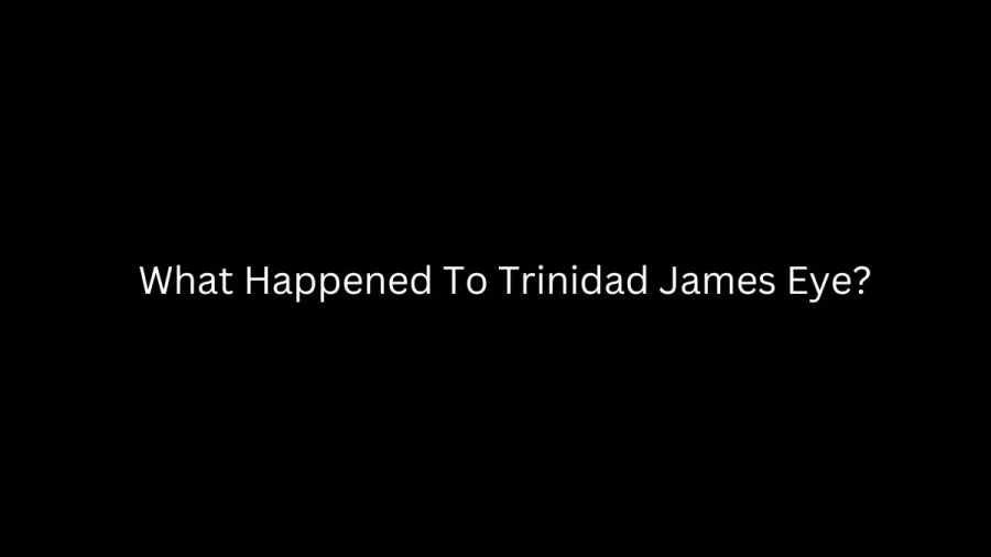 What Happened To Trinidad James Eye? Who Is Trinidad James?