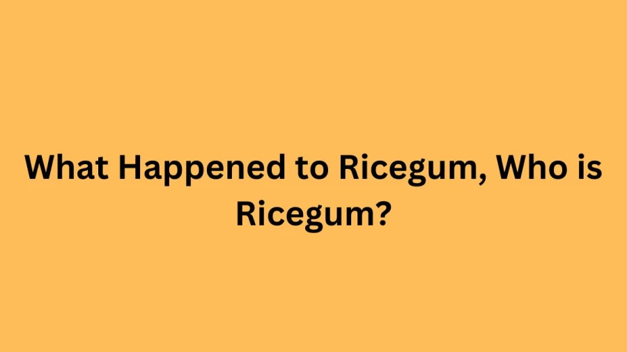 What Happened to Ricegum, Who is Ricegum?