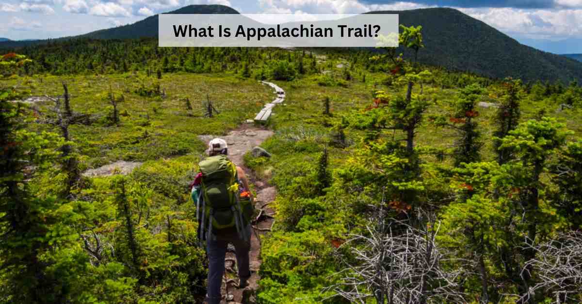 What Is the Appalachain Trail? Google Doodle Celebrates World’s Longest Hiking Footpath