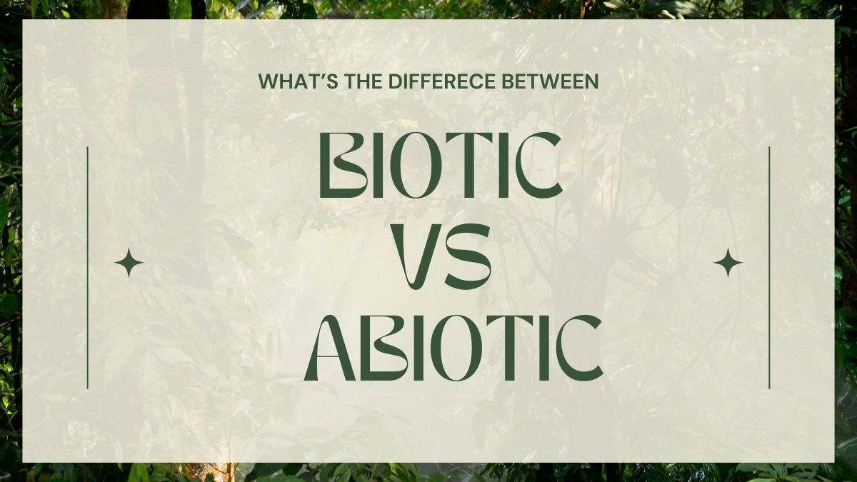 Know in detail the difference between biotic and abiotic