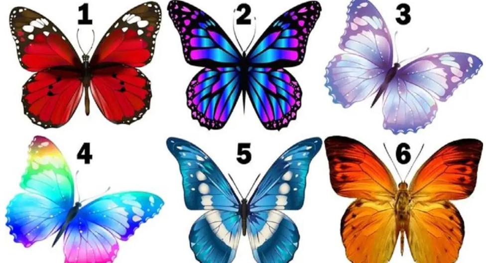 Which butterfly do you like the most?  Answer and you will find out aspects of your personality