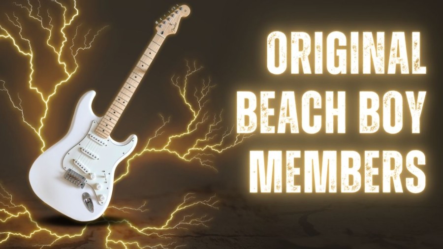 Who are the Original Beach Boy Members? How Old Are The Beach Boys?