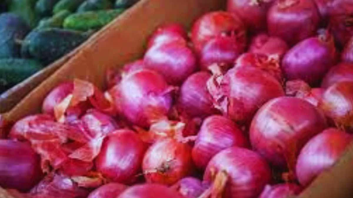 Why are Nashik Onion Traders on a Strike? What are their demands?