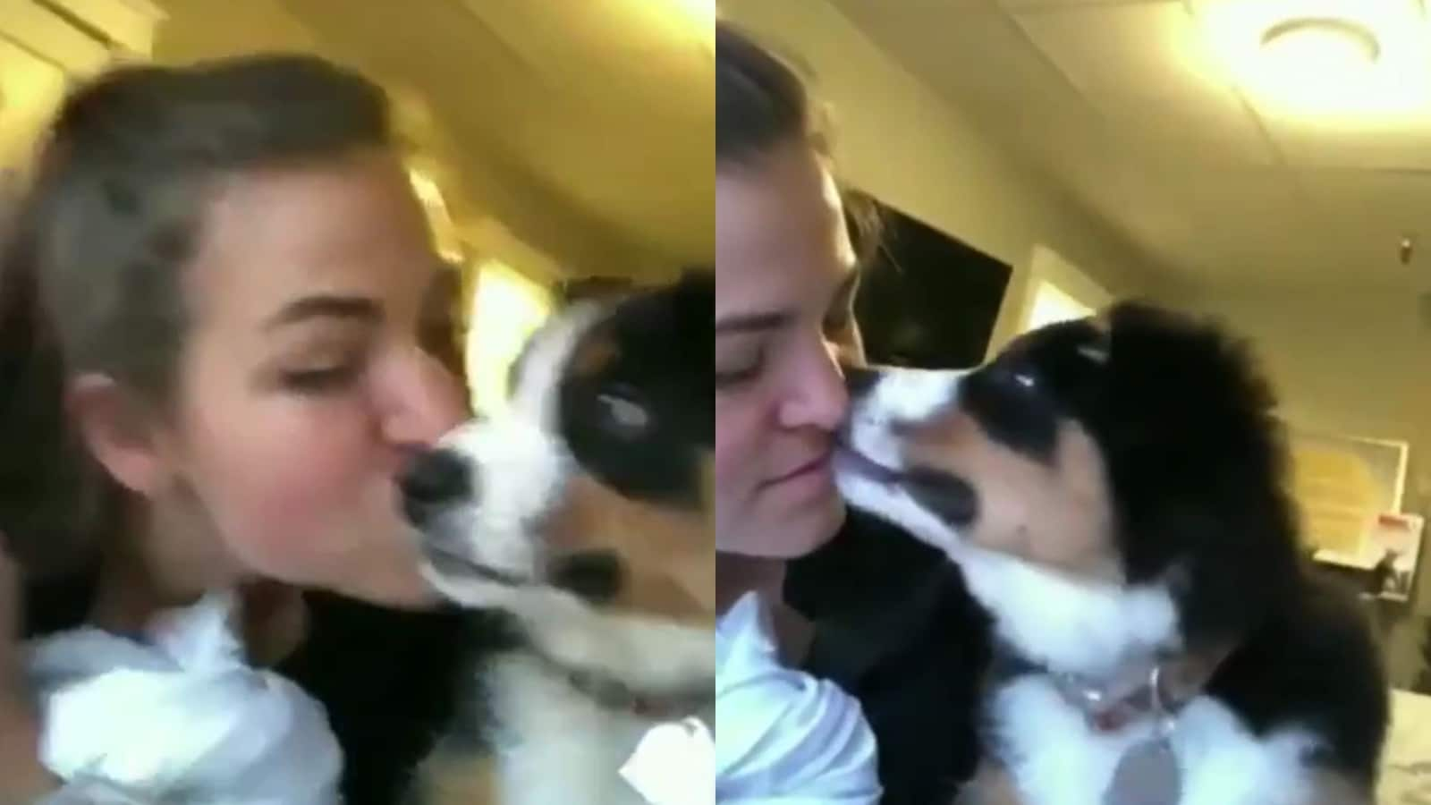 Woman places a peck on dog's head, gets back a kiss from it. Watch