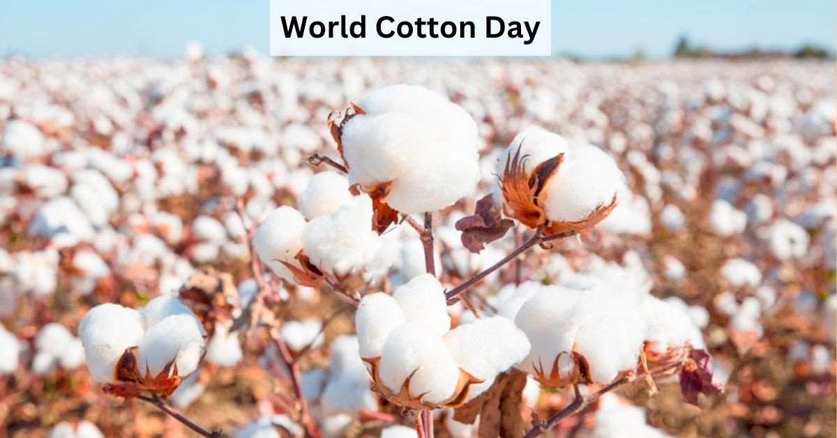 World Cotton Day 2023: Theme and Know What are the Types of Cotton Fabric