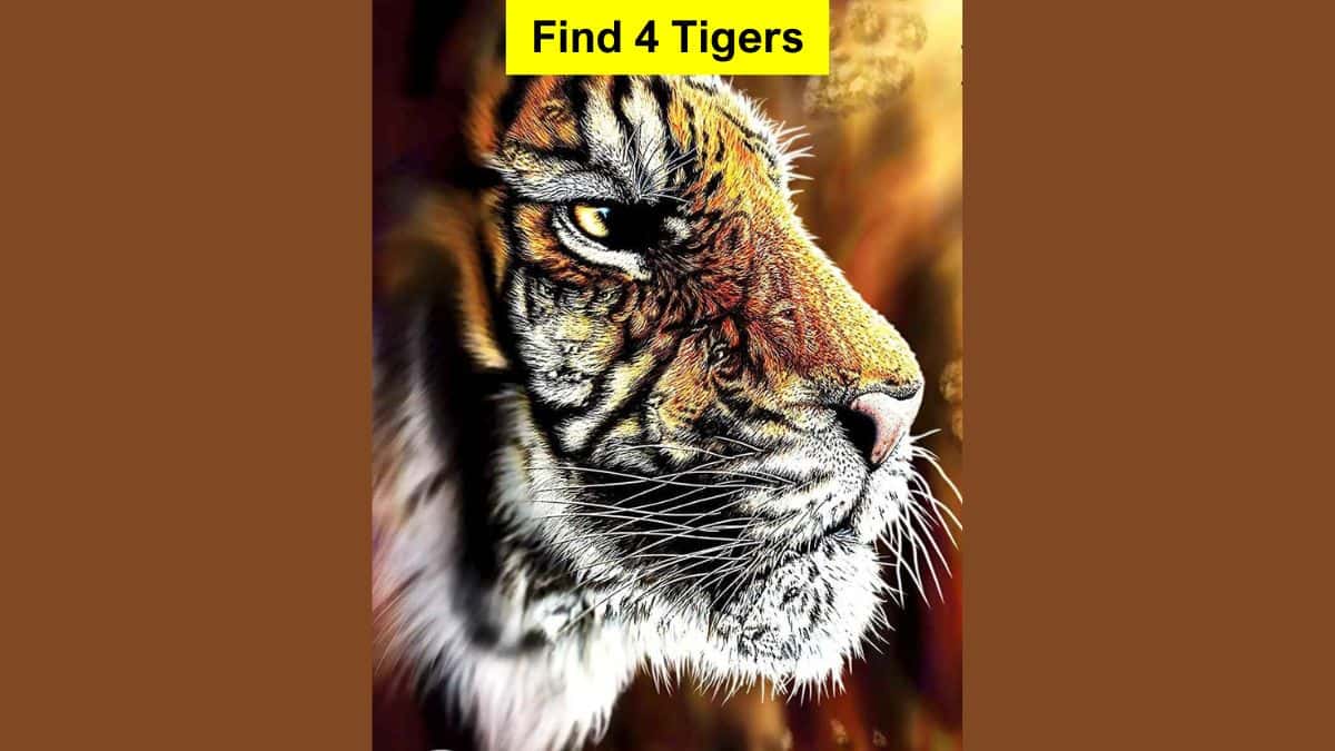 Find 4 Hidden Tigers in 9 Seconds