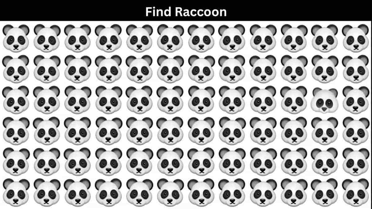 Find Raccoon among Pandas in 4 Seconds