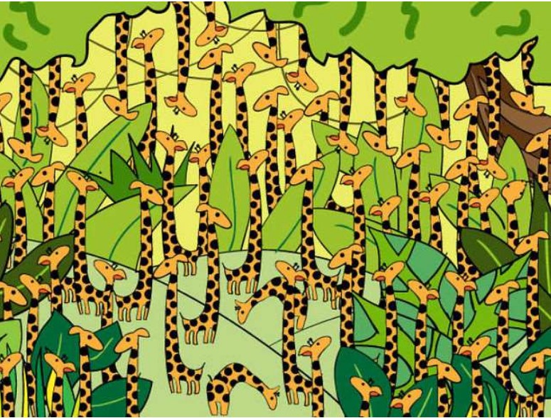 You could have a high IQ if you can spot the sneaky snake hiding among the giraffes in 11 seconds