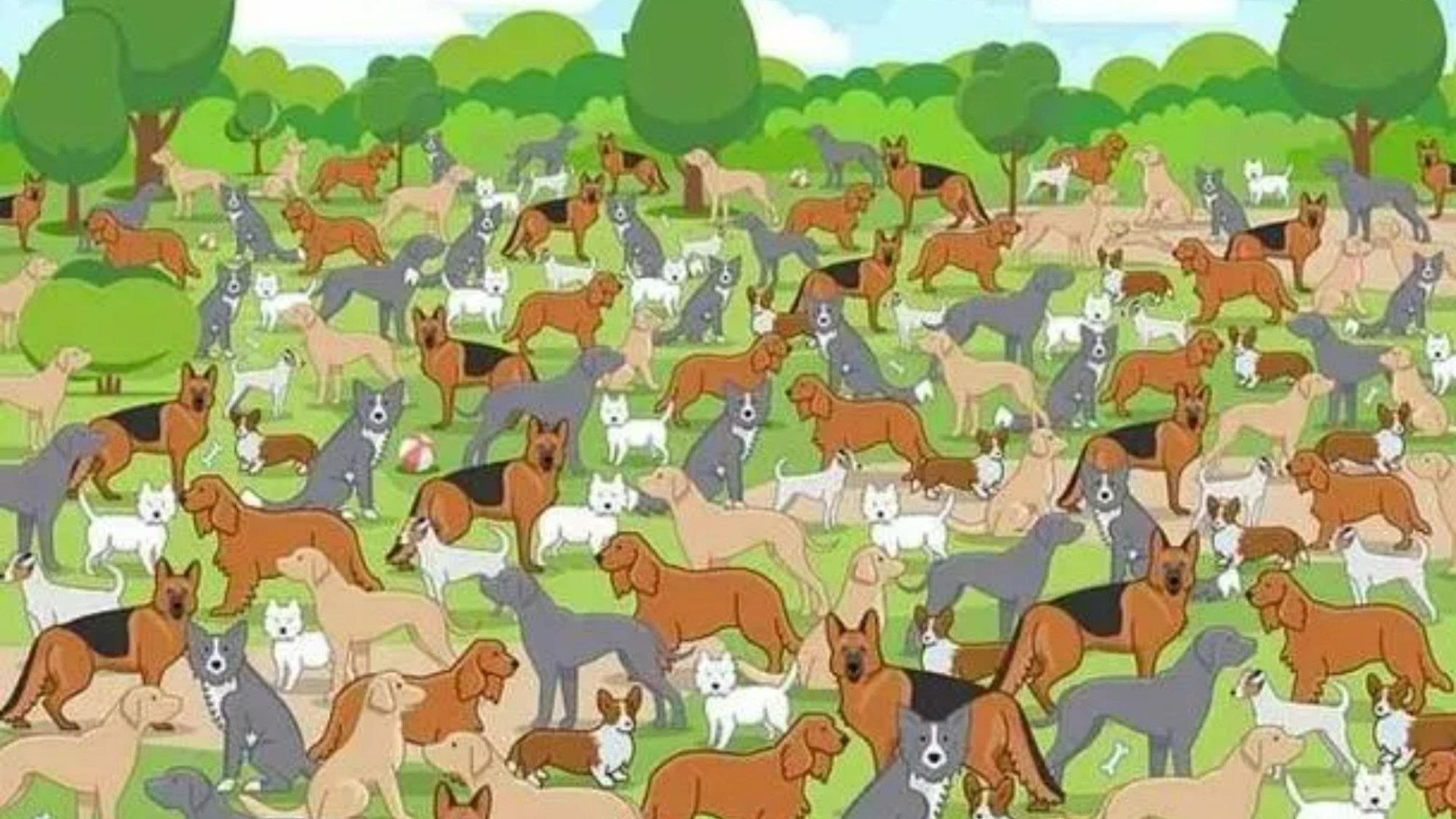 You have 20/20 vision if you can spot the puppy playing in the park packed with dogs in just 9 seconds