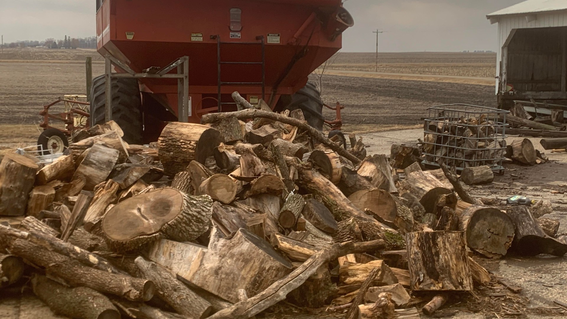 You have 20/20 vision if you spot the sneaky cat hiding in the logs in under 12 seconds