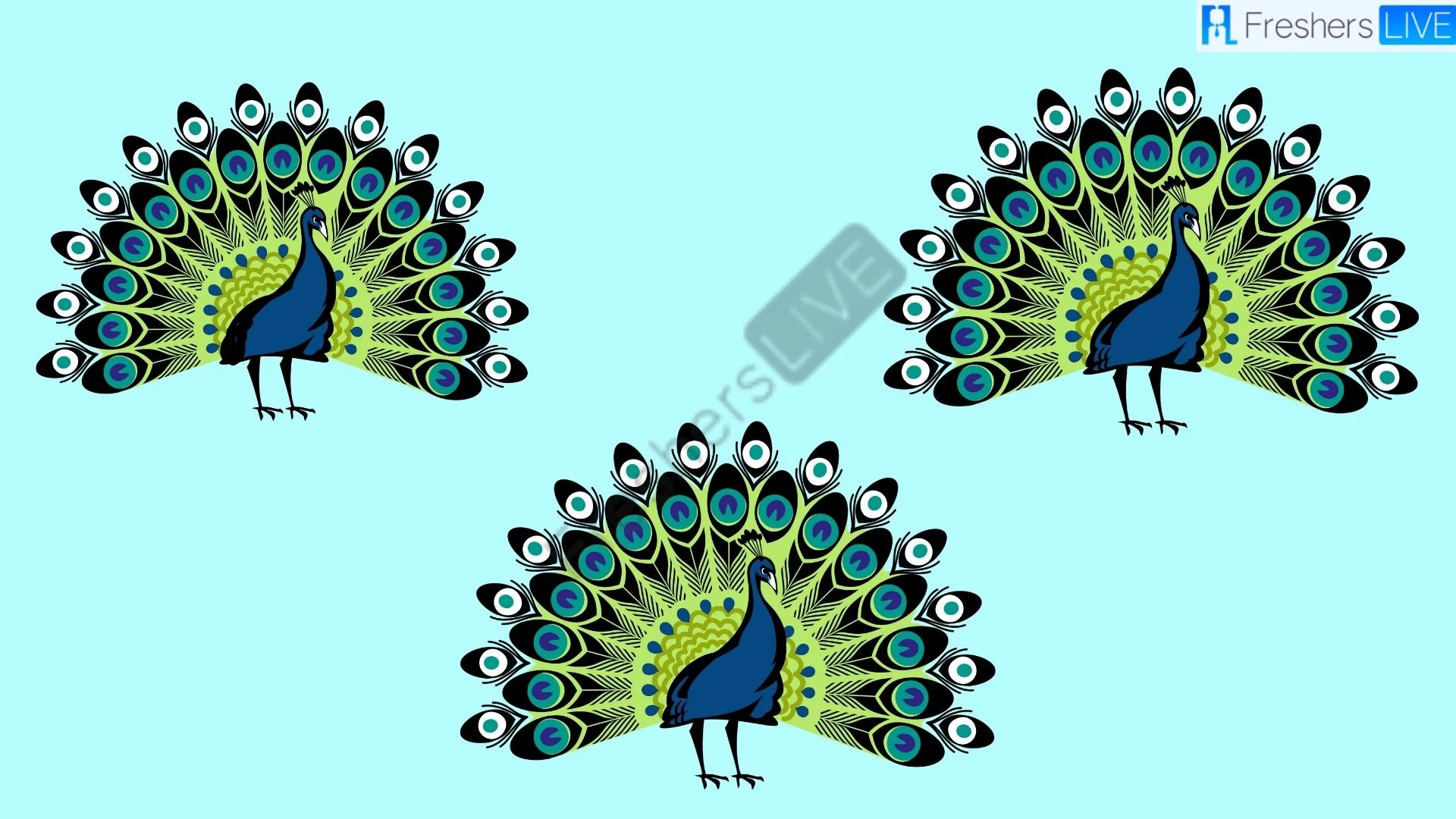 You have X-Ray vision if you can spot the Odd Peacock in picture within 5 secs. Try Your Luck!