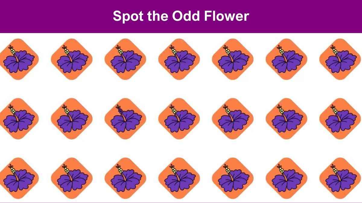 Find the Odd Flower in 4 Seconds