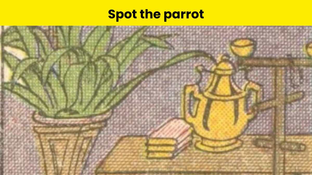 Can you spot the parrot in the optical illusion?