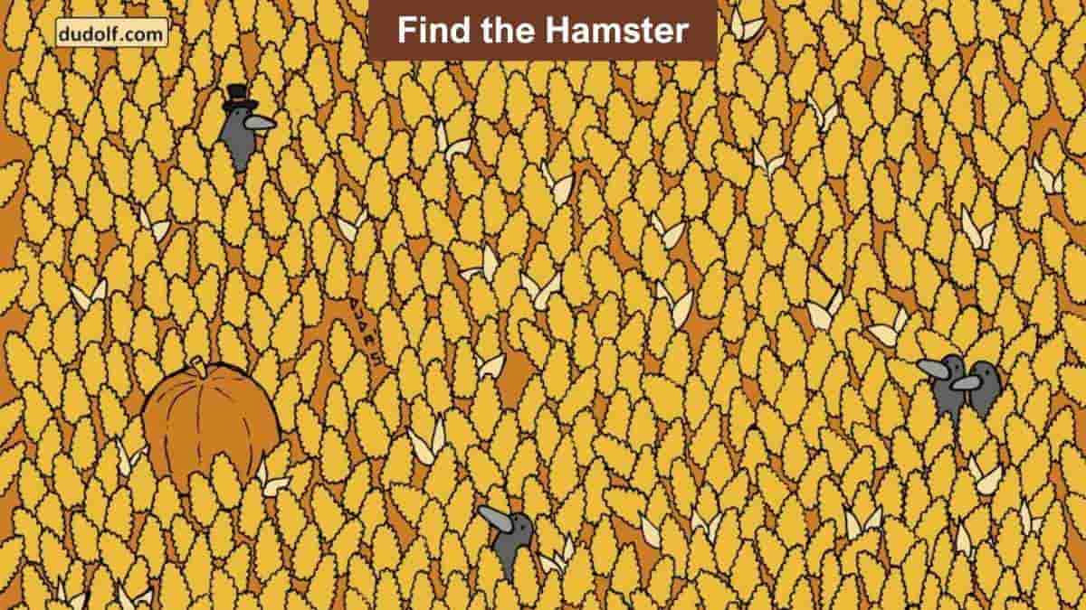 Find Hidden Hamster in 8 Seconds