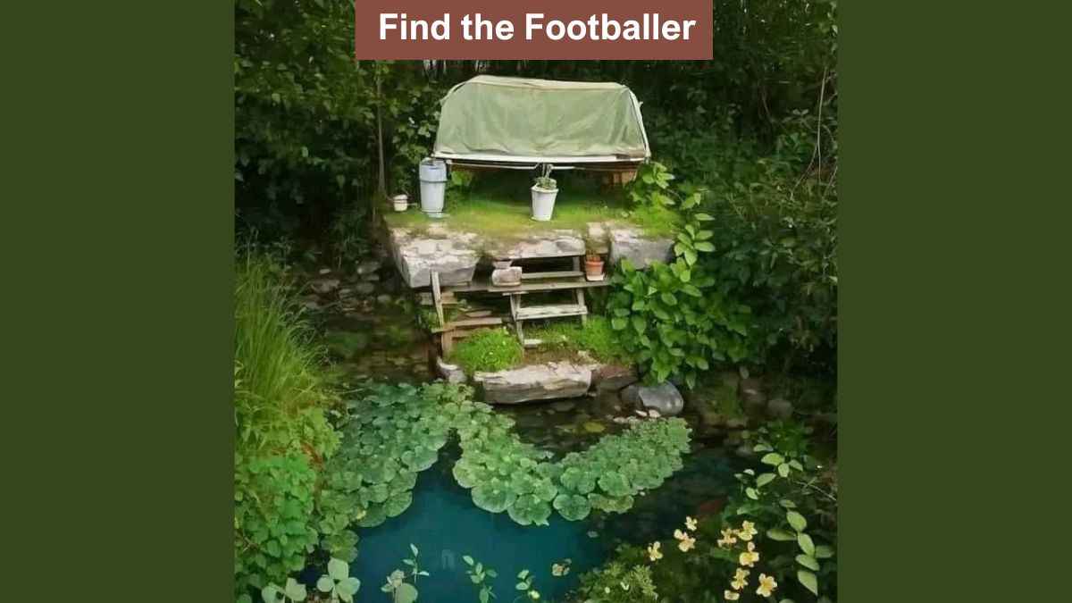 Find Hidden Footballer