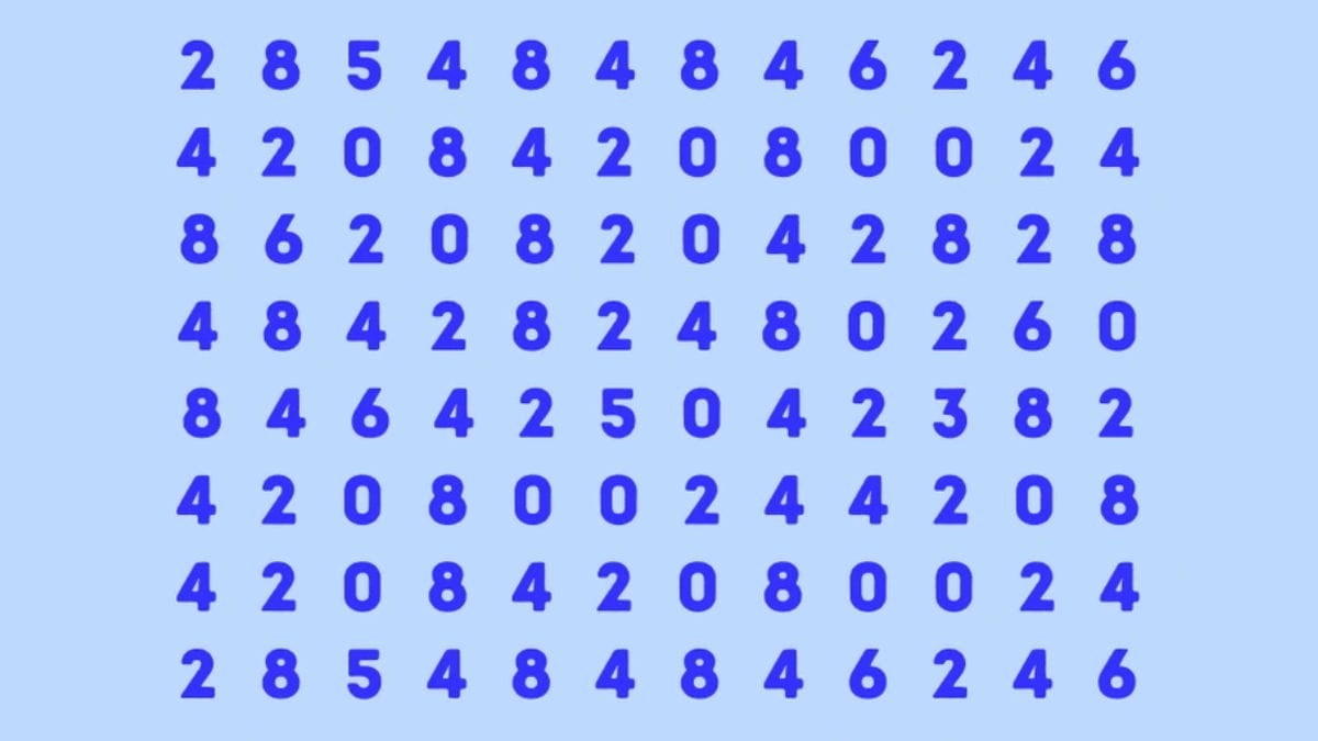 Visual Puzzle:  Spot The Hidden Number.