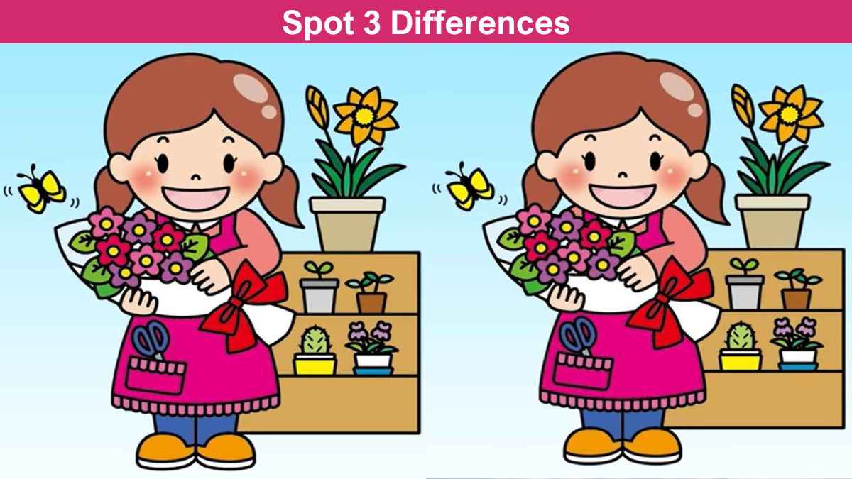 Spot 3 Differences in 14 Seconds