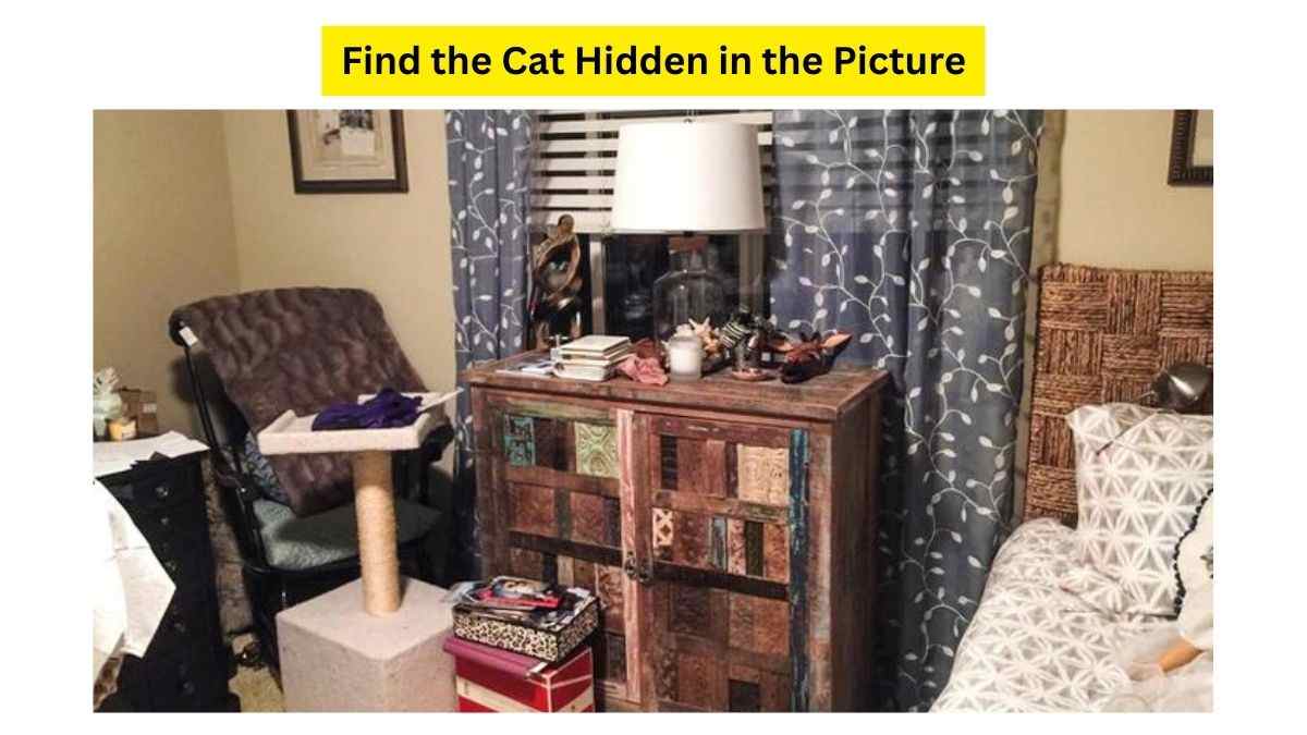 You Really Need Super Power To Find The Cat!