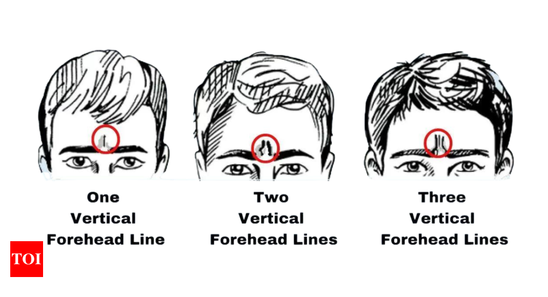 Personality Test: Lines on your forehead reveals the right career for you |