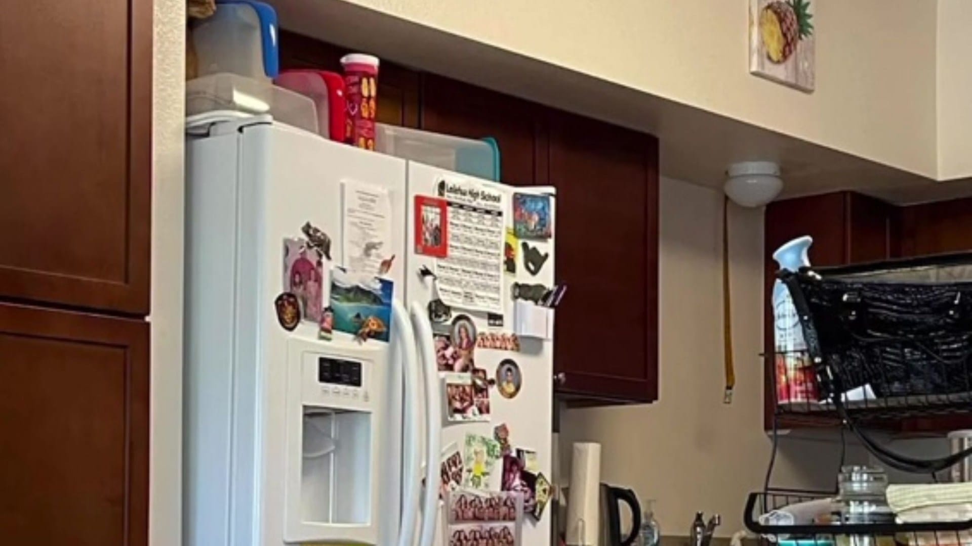 You have 20/20 vision if you can spot the cat hiding in the kitchen