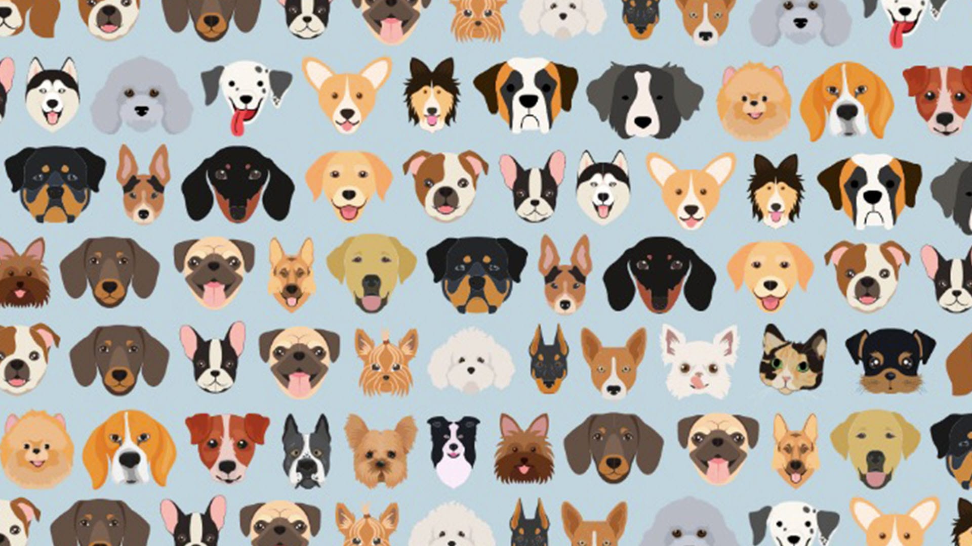 You have 20/20 vision if you can spot the cat hidden amongst these dog breeds in less than 22 seconds?