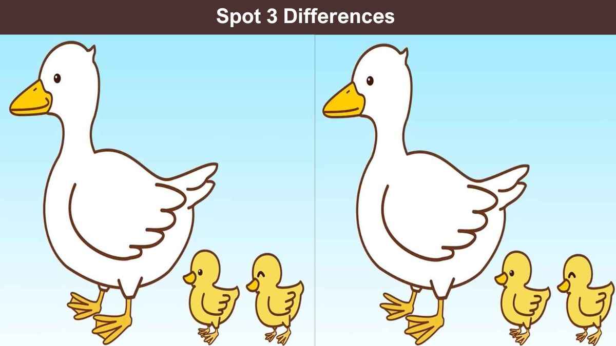 Spot 3 Differences in 12 Seconds