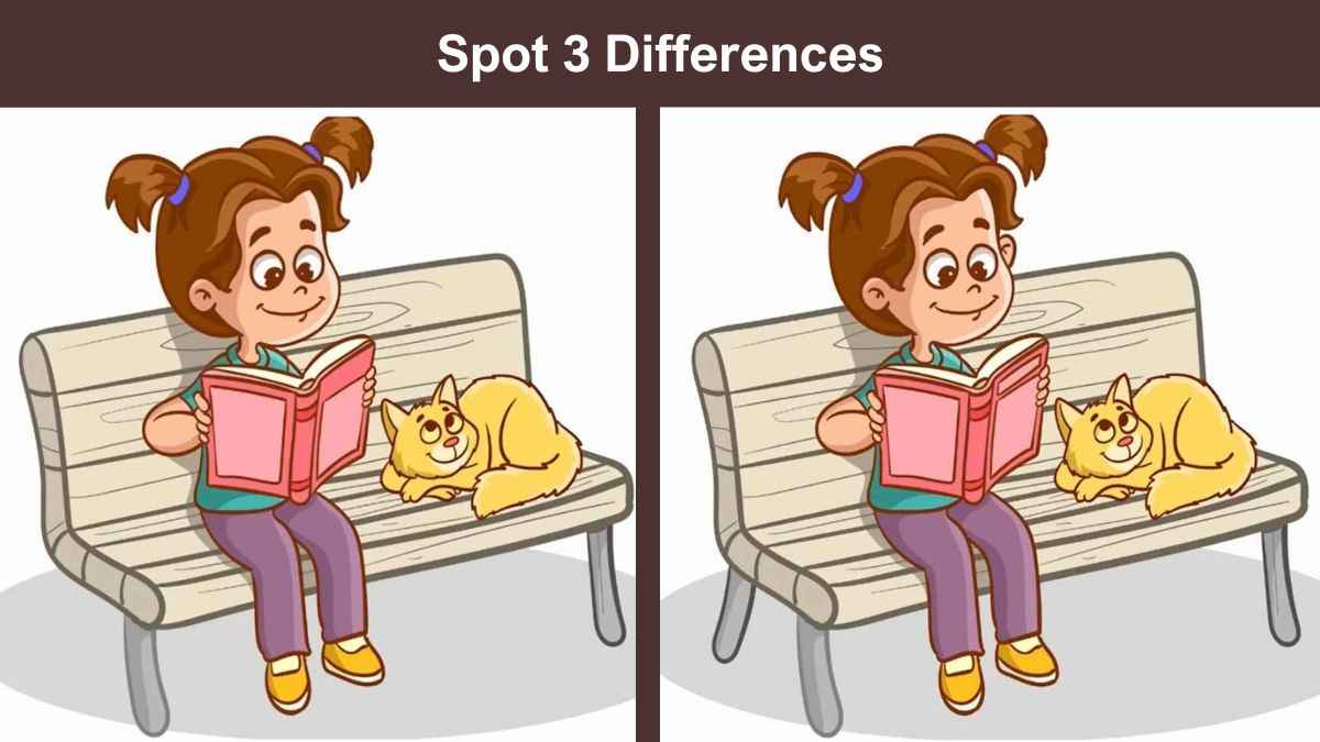 Spot 3 differences girl and cat