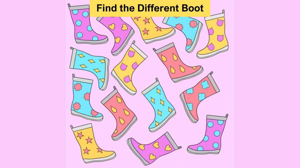 Find the different boot