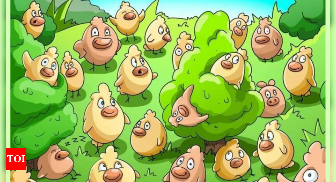 Only sharp-witted people can spot the pig among chickens within 5 seconds